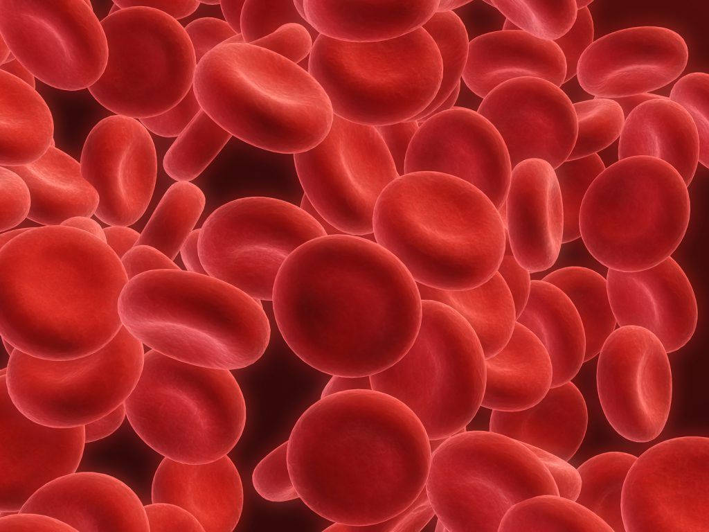 Blood Aesthetic 桌布 壁紙 — 在放大視野下，深紅色液體中漂浮著密集的鮮紅血球團。