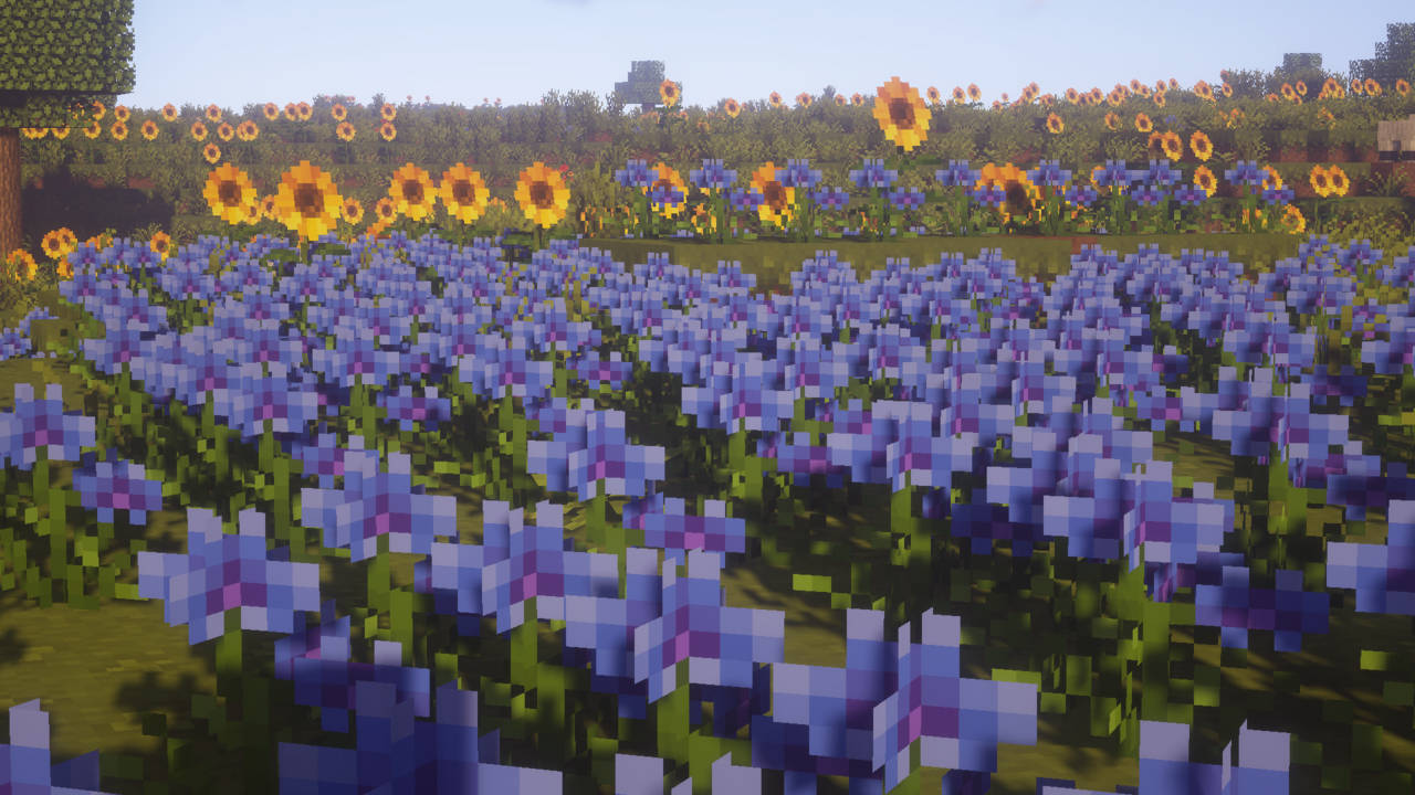 花朵美學動態圖 桌布 壁紙 — 在方塊狀的Minecraft景觀中，晴朗天空下充滿活力的像素化藍色和黃色花田。