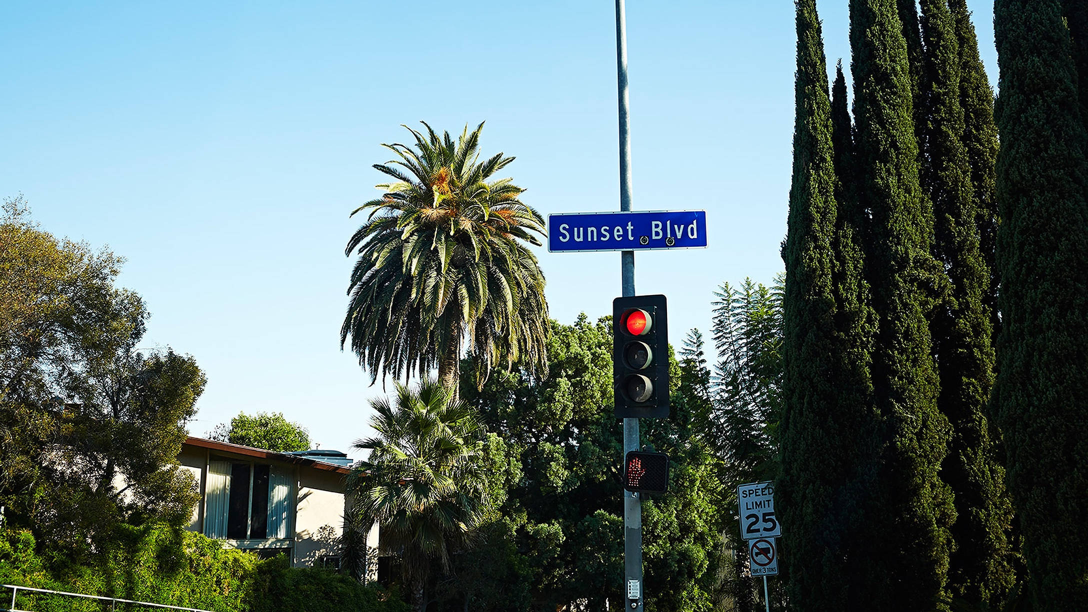 Boulevard 桌布 壁紙 — 在日落大道的一個街角，紅色的交通燈在晴朗的藍天下閃爍，周圍環繞著棕櫚樹和高大的柏樹。