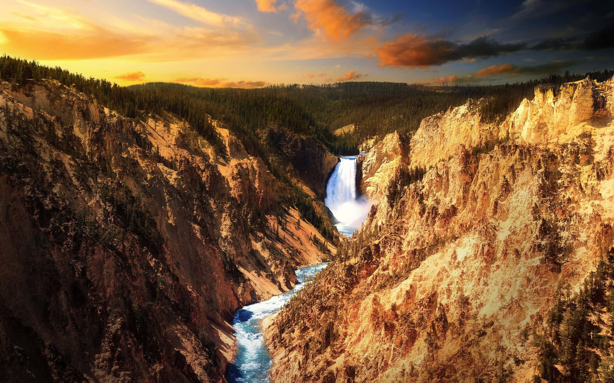 Yellowstone 桌布 壁紙 — 在日落時分，一道雄偉的瀑布穿過深邃的峽谷，金色的光芒照亮了崎嶇的懸崖和茂密的森林。