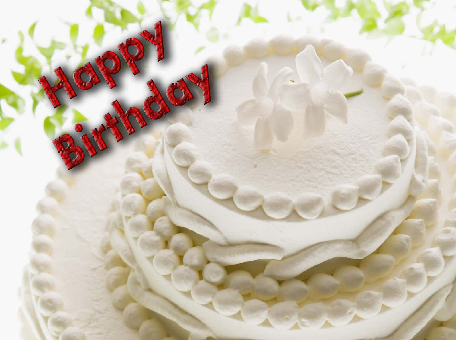 Birthday Wishes 桌布 壁紙 — 在明亮光線下，一個純白色的多層生日蛋糕，飾以擠花糖霜和精緻的白花。