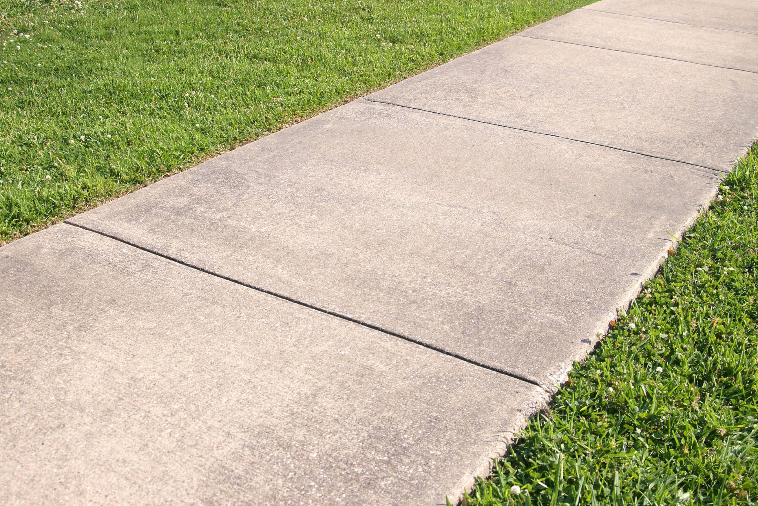 Sidewalk 桌布 壁紙 — 在明亮日光下，一條乾淨的混凝土人行道被鮮綠的草地圍繞。