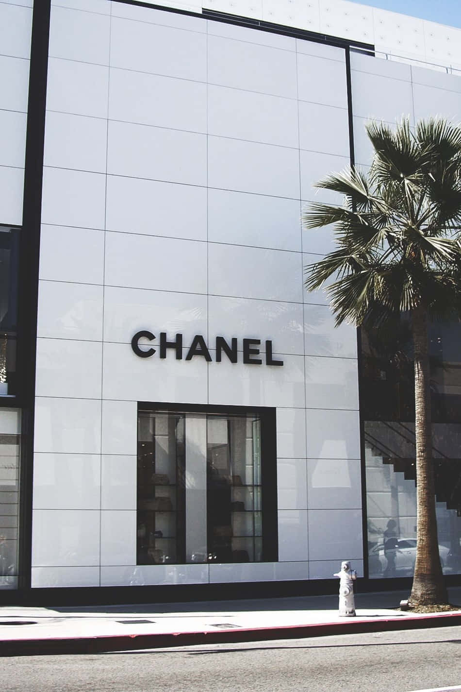 Luxury Aesthetic 桌布 壁紙 — 在明亮日光下，一間時尚的白色 Chanel 店舖外牆，帶有黑色飾邊，旁邊有一棵棕櫚樹。