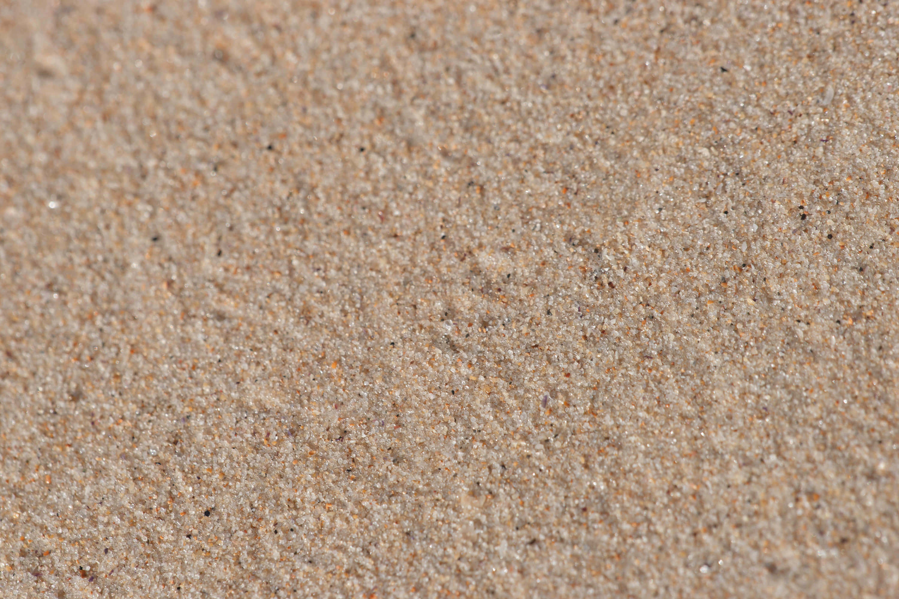 sand 桌布 壁紙 — 在明亮日光下，細膩質感沙粒的特寫，帶有柔和米色和橙色色調。