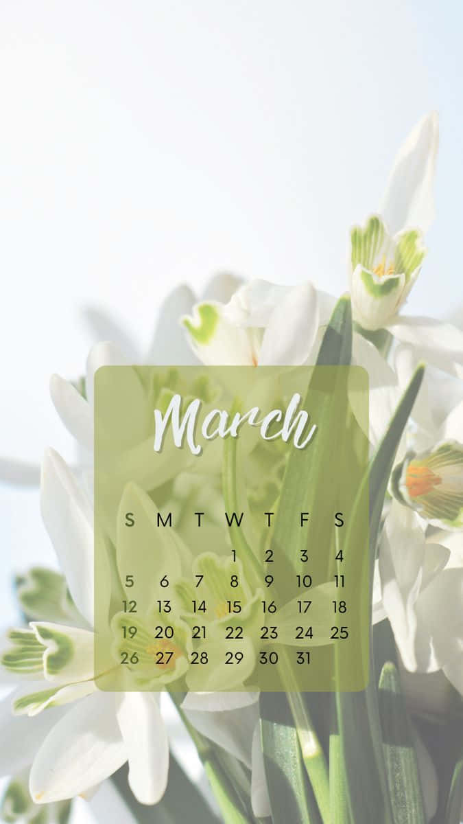 March 桌布 壁紙 — 在明亮日光下盛開的白色雪花蓮花的柔焦背景上，覆蓋三月日曆。