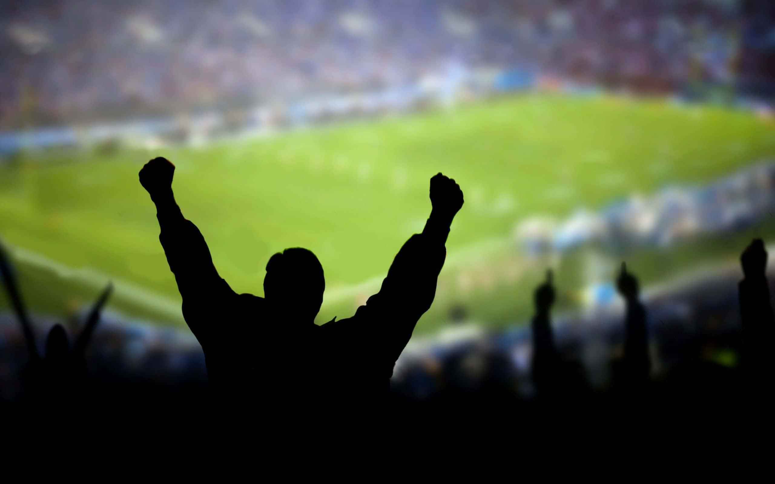 Soccer 4K 桌布 壁紙 — 在明亮燈光的體育場內，一名粉絲高舉拳頭慶祝勝利的剪影，攝於現場體育賽事。