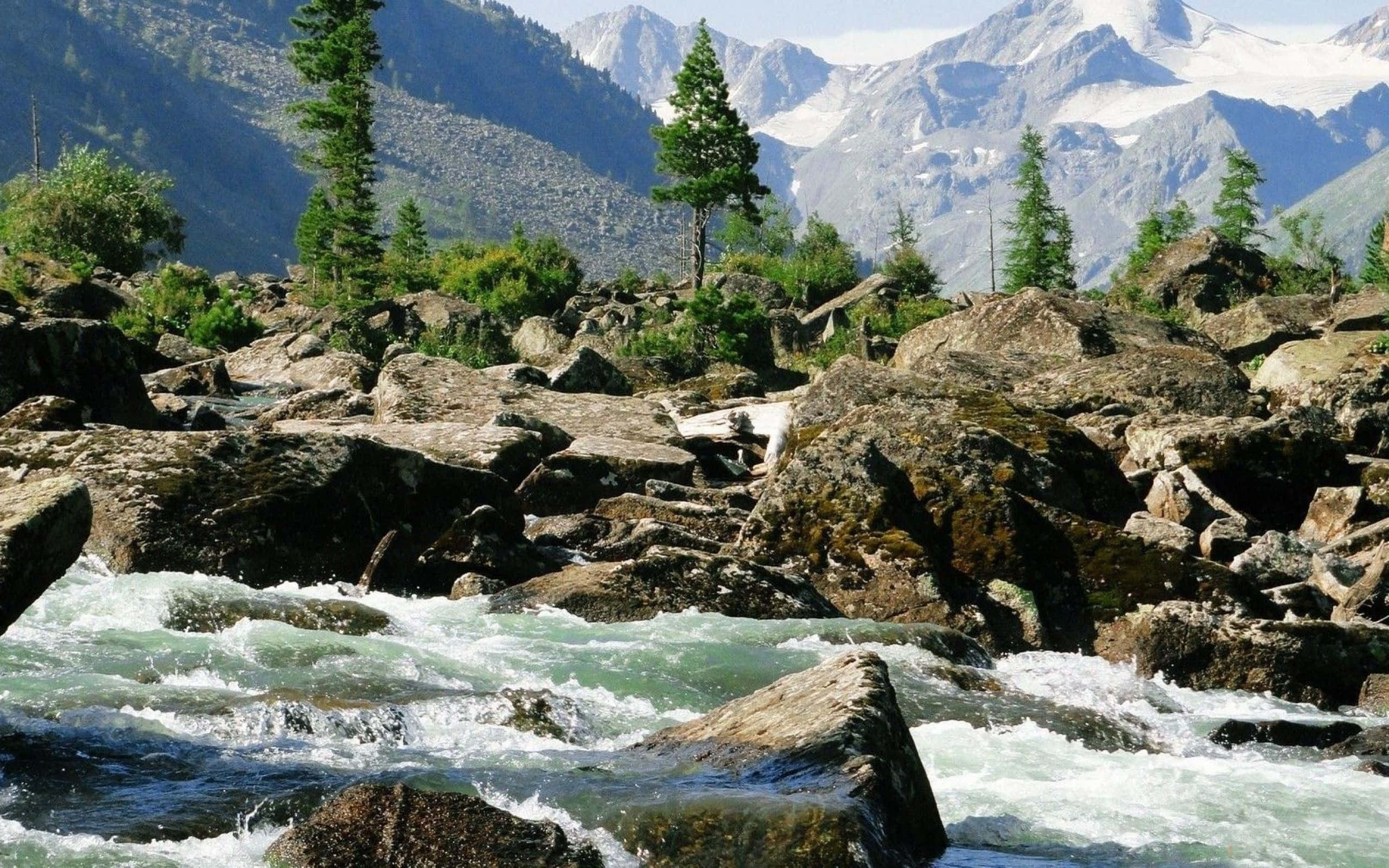 Creek 桌布 壁紙 — 在明亮的日光下，一條湍急的河流衝過長滿青苔的巨石，山谷中有積雪的山峰和常綠樹木。