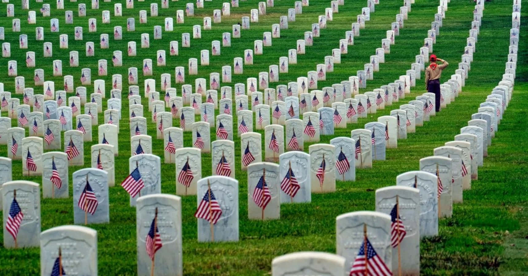 Memorial Day 桌布 壁紙 — 在明亮的日光下，軍事墓園中一排排白色墓碑，每個都裝飾著美國國旗。