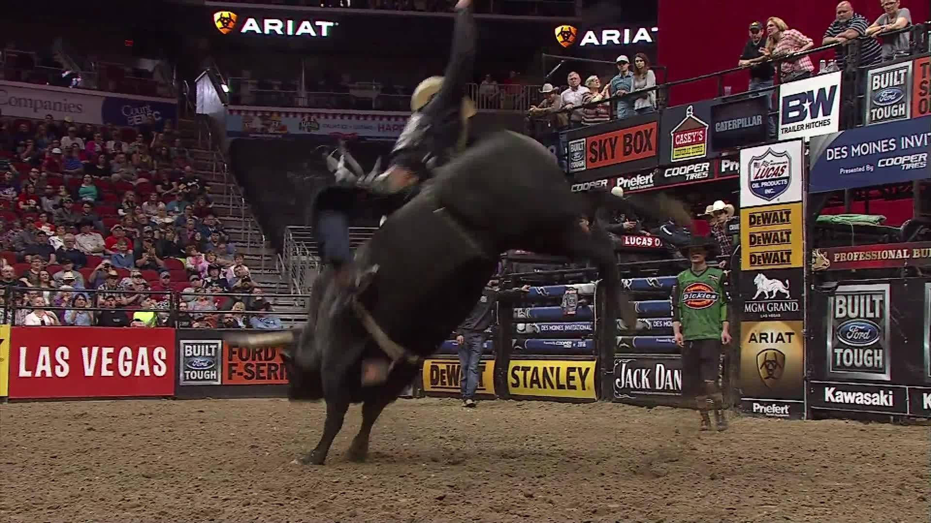 Bull Riding 桌布 壁紙 — 在明亮的燈光下，一名鬥牛騎士在擠滿人的拉斯維加斯牛仔競技場中，絕望地緊抓著一頭劇烈甩動的黑牛。