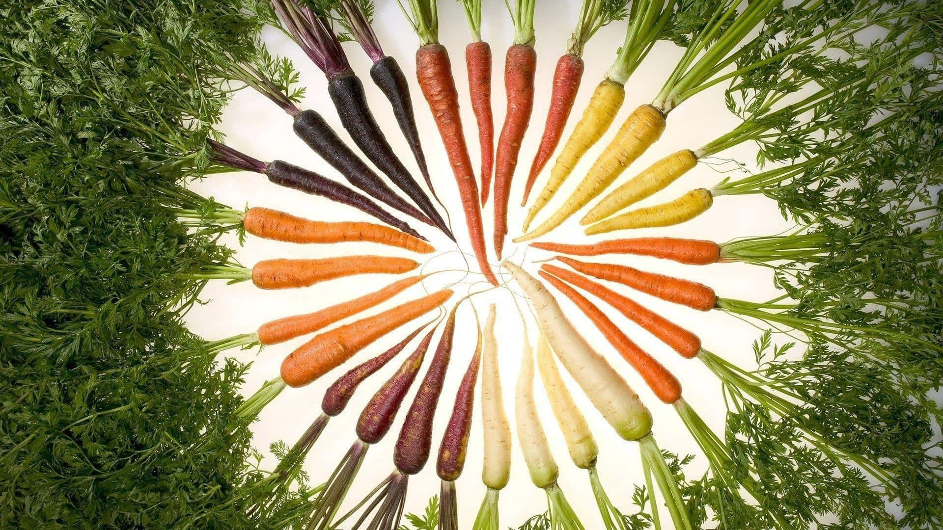 Carrot 桌布 壁紙 — 在明亮的白色背景上，色彩繽紛的胡蘿蔔帶有綠色頂部，呈現出充滿活力的放射狀排列。