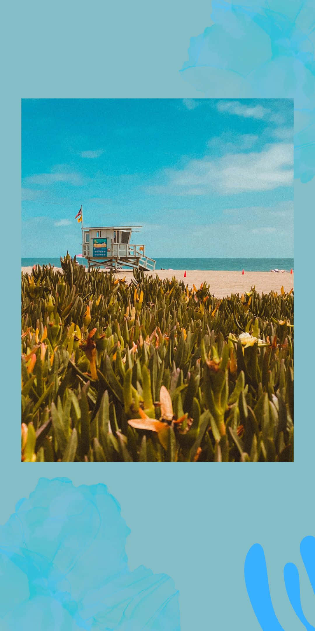 Lifeguard 桌布 壁紙 — 在明亮的藍天下，一個救生員瞭望塔矗立在沙灘上，周圍環繞著充滿活力的綠色多肉植物。