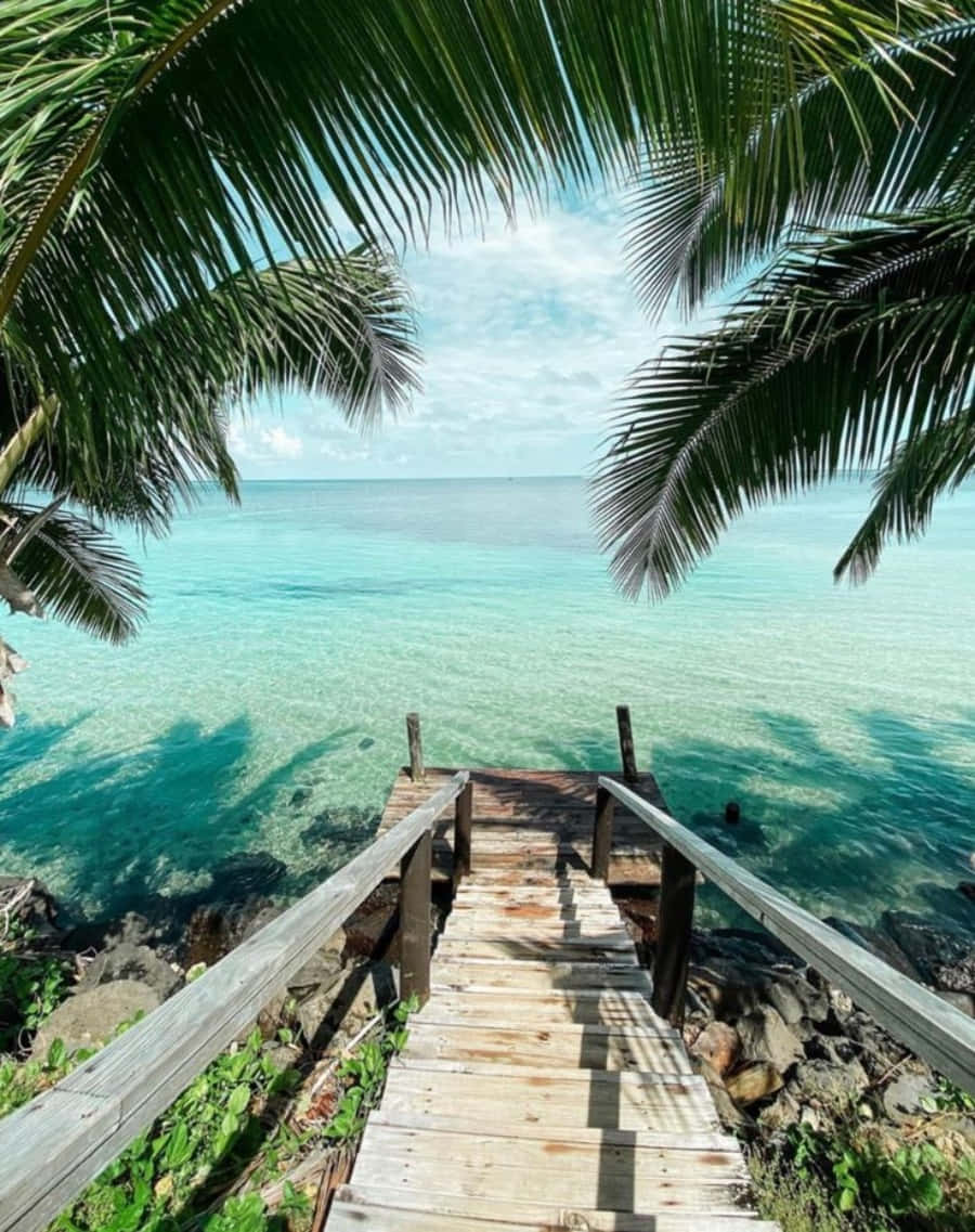 Vacation 桌布 壁紙 — 在明亮的藍天下，一個木製碼頭延伸至碧綠色的海水，周圍環繞著茂密的棕櫚葉。