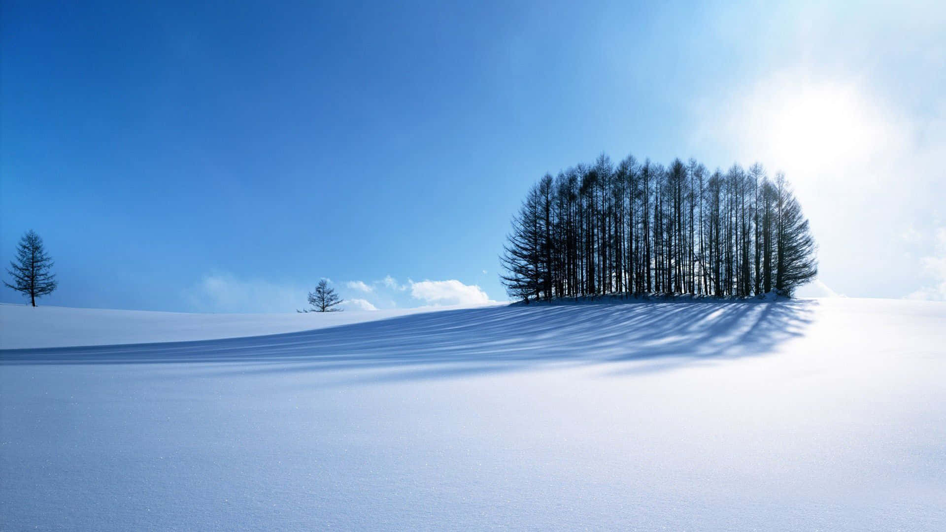 1080p Winter 桌布 壁紙 — 在明亮的藍天下，一簇孤獨的深色樹木在 pristine 的雪地上投下長長的影子。