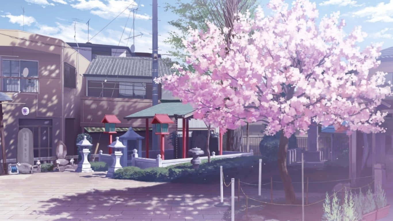 Anime Cherry Blossom 桌布 壁紙 — 在明亮的藍天下，傳統日本神社前盛開的粉紅色櫻花樹的動漫場景。