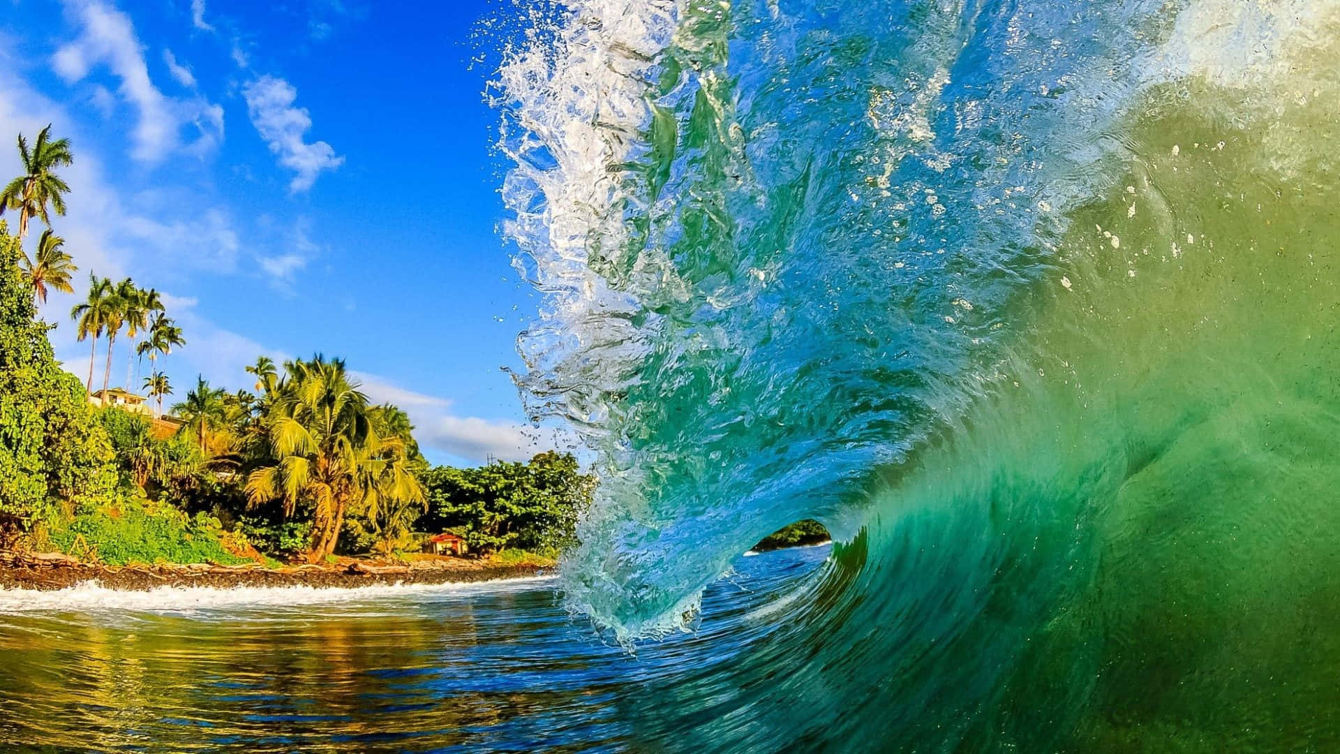 Beach Waves 桌布 壁紙 — 在明亮的藍天下，巨大的綠松石色海浪翻滾到棕櫚樹成蔭的熱帶海岸上。
