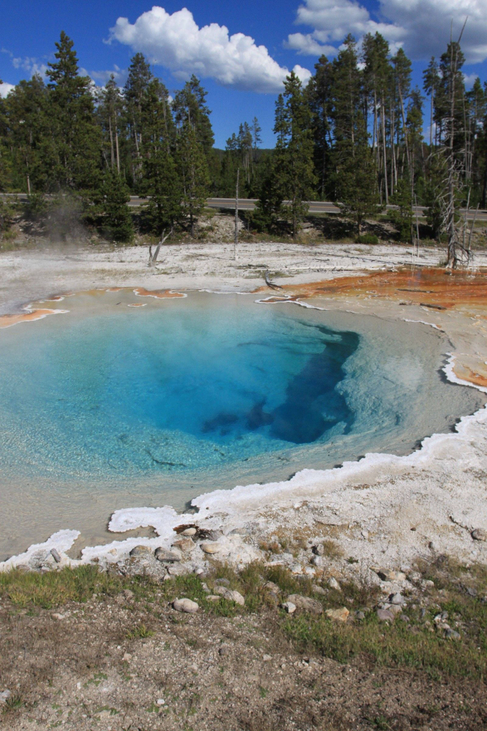 Yellowstone 桌布 壁紙 — 在明亮的藍天下，礦物染色的土地和常綠森林中，有一個充滿活力的綠松色溫泉。