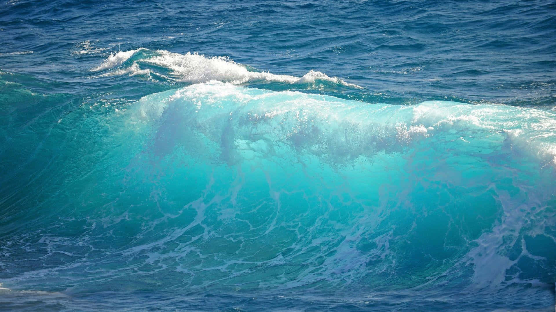 waves 桌布 壁紙 — 在明亮的陽光下，一道強勁的藍綠色海浪翻捲著白色泡沫，映襯著深藍色的海水。