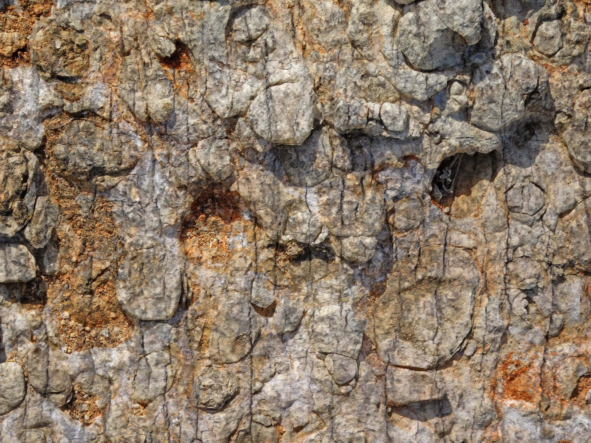 Stone texture 壁紙 — 在明亮陽光下，粗糙紋理的岩石表面特寫，帶有灰色石頭和橙色鏽斑。