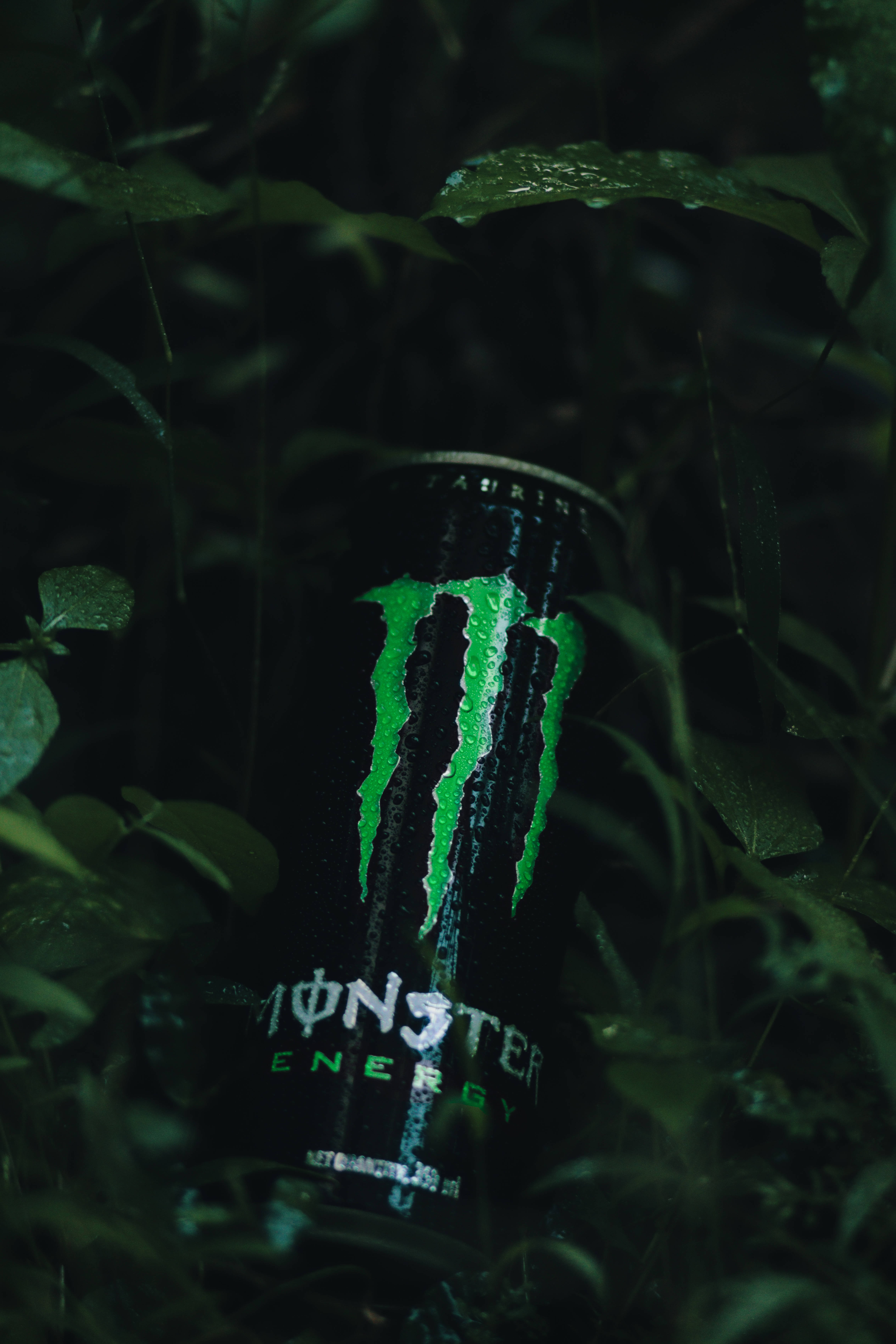 Monster Energy 桌布 壁紙 — 在昏暗森林光線下，一個發光的綠色Monster Energy罐藏在潮濕的深色樹葉中。
