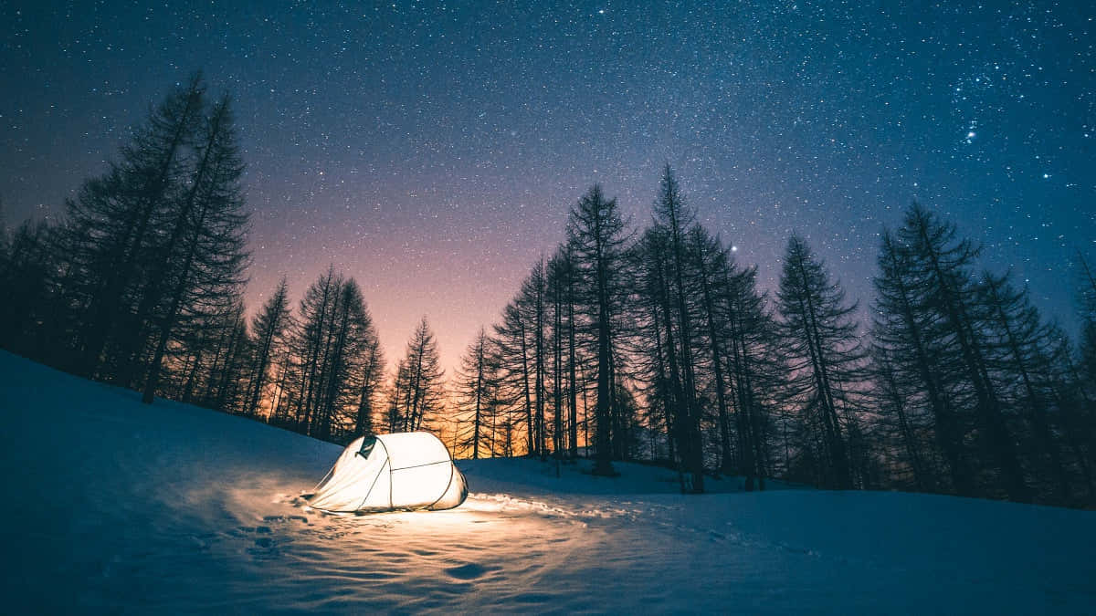 trees 桌布 壁紙 — 在星光暮色天空下，雪地樹林中一座發光的白色帳篷，襯著松樹的剪影。