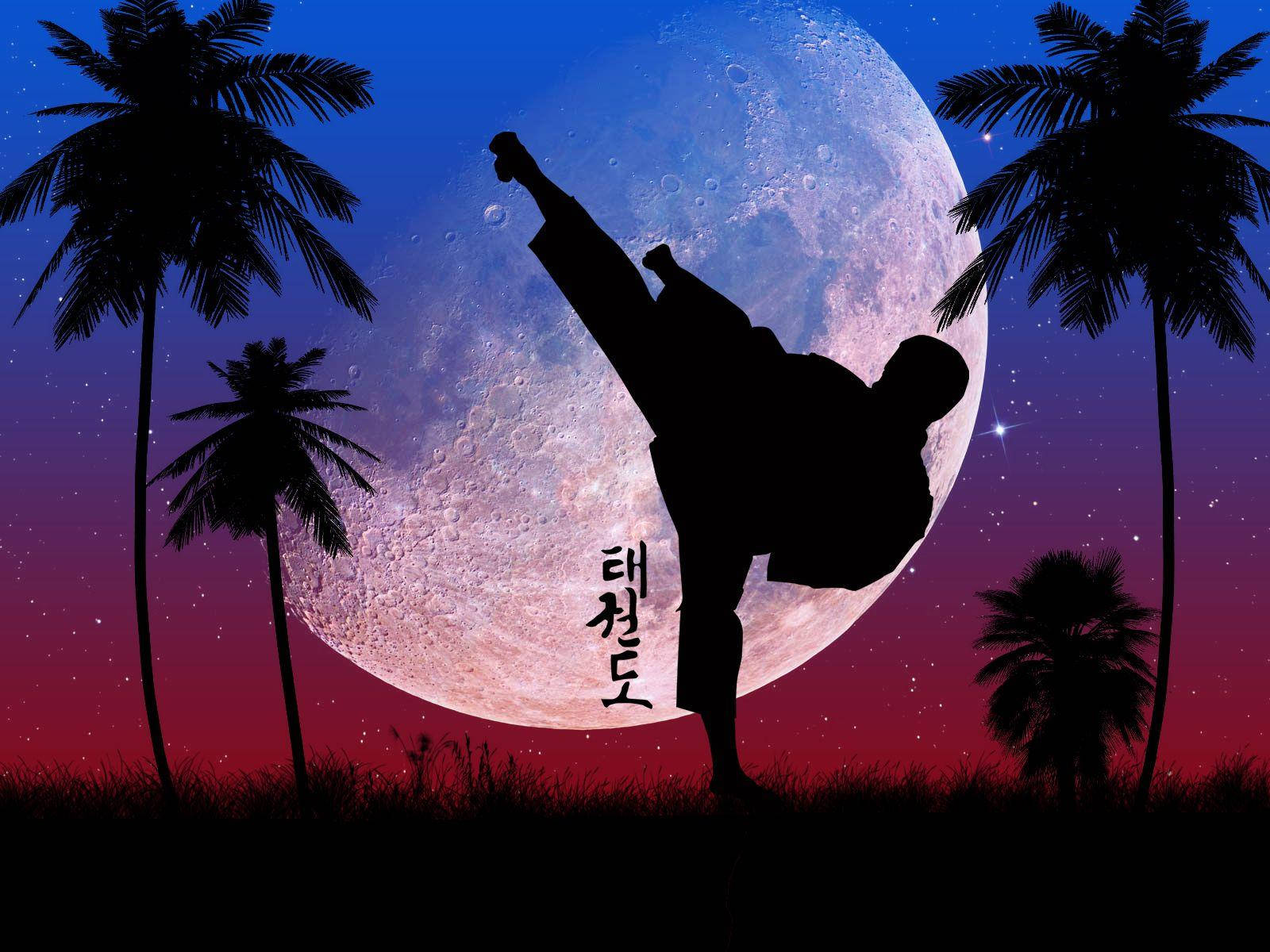 Silhouette 桌布 壁紙 — 在星空暮色天空下，武術家剪影高踢向巨大月亮，伴隨著棕櫚樹。