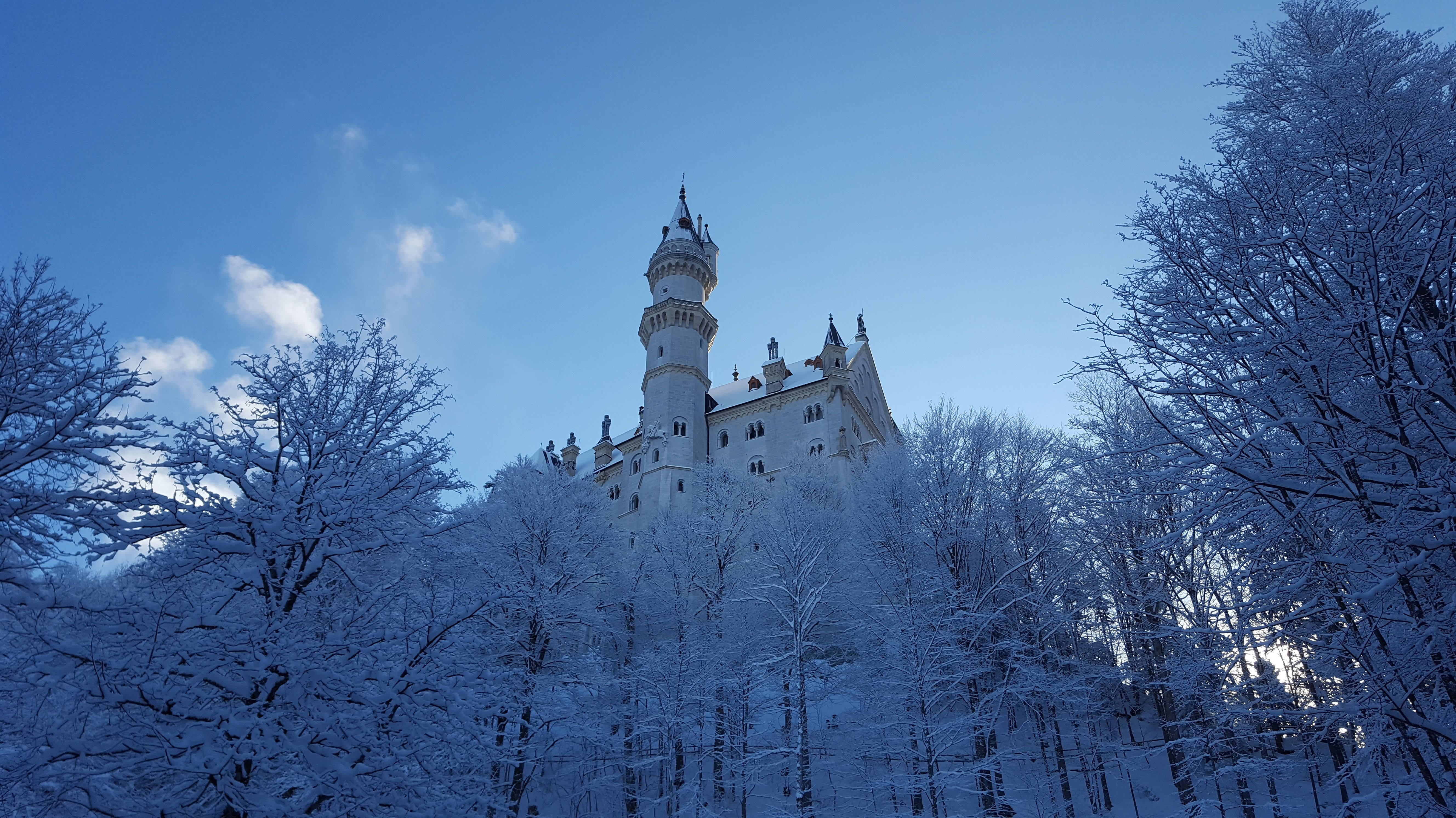 Frozen Castle 桌布 壁紙 — 在晴朗的藍天下，一座被雪覆蓋的新天鵝堡雄偉地聳立在冬季森林之上。