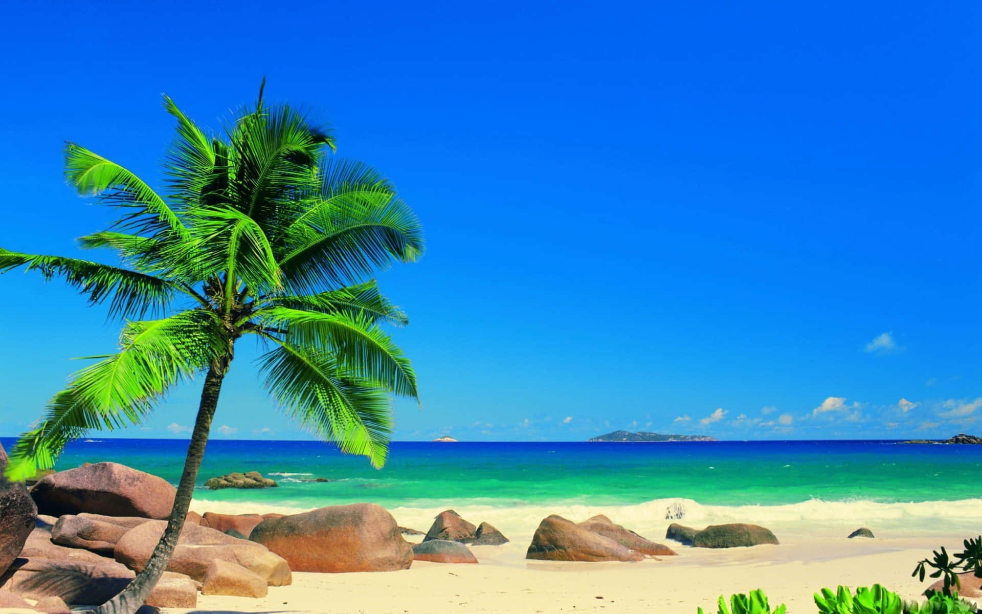 Beautiful Beach 桌布 壁紙 — 在晴朗的藍天下，一棵孤獨的棕櫚樹在陽光明媚的熱帶海灘上搖曳，海水碧綠，粉紅色花崗岩巨石點綴其間。