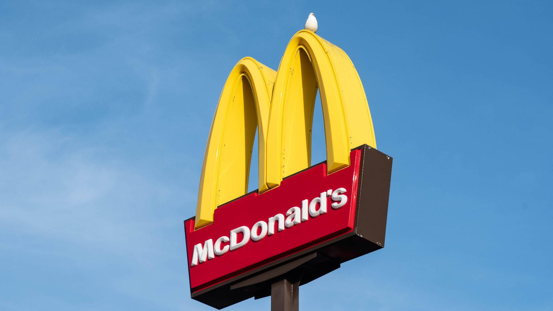 Mcdonalds 桌布 壁紙 — 在晴朗的藍天下，一隻白色小鳥棲息在明亮的黃色麥當勞拱門標誌上。