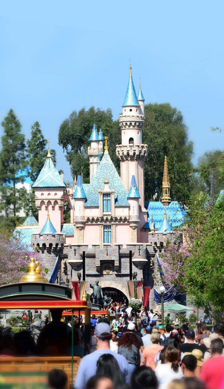 Disneyland Castle 桌布 壁紙 — 在晴朗的藍天下，熙攘的人群聚集在標誌性的粉藍色城堡前。
