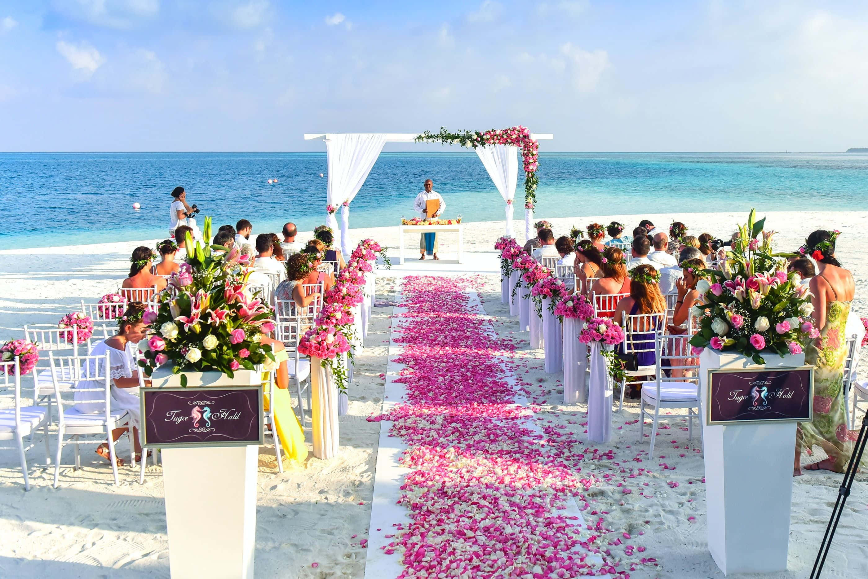 Wedding 桌布 壁紙 — 在晴朗藍天下，一場充滿活力的海灘婚禮儀式，配有粉紅花朵和白色椅子。