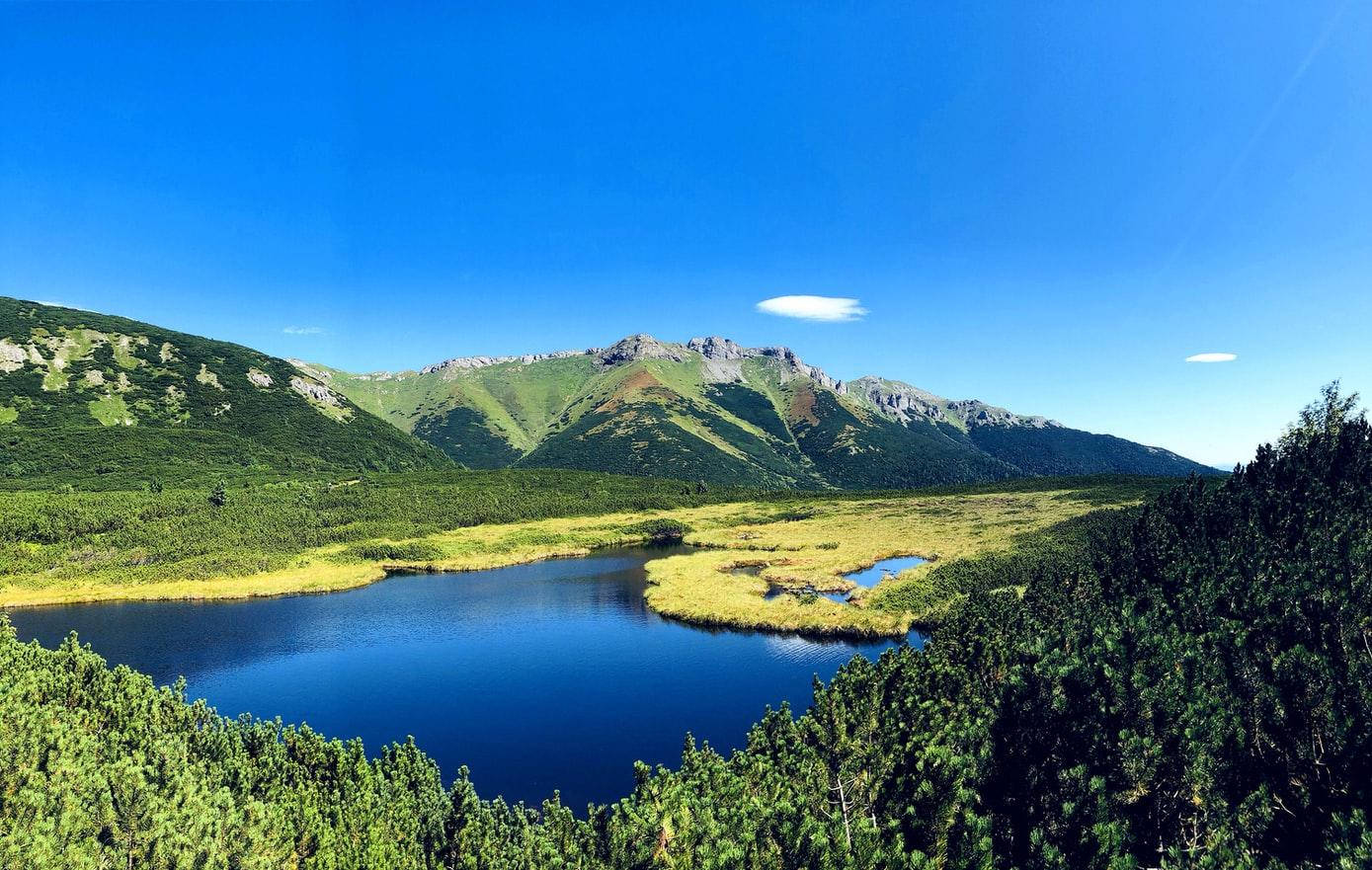 View 桌布 壁紙 — 在晴朗藍天下，翠綠森林與高聳岩山環抱著寧靜的高山湖泊。