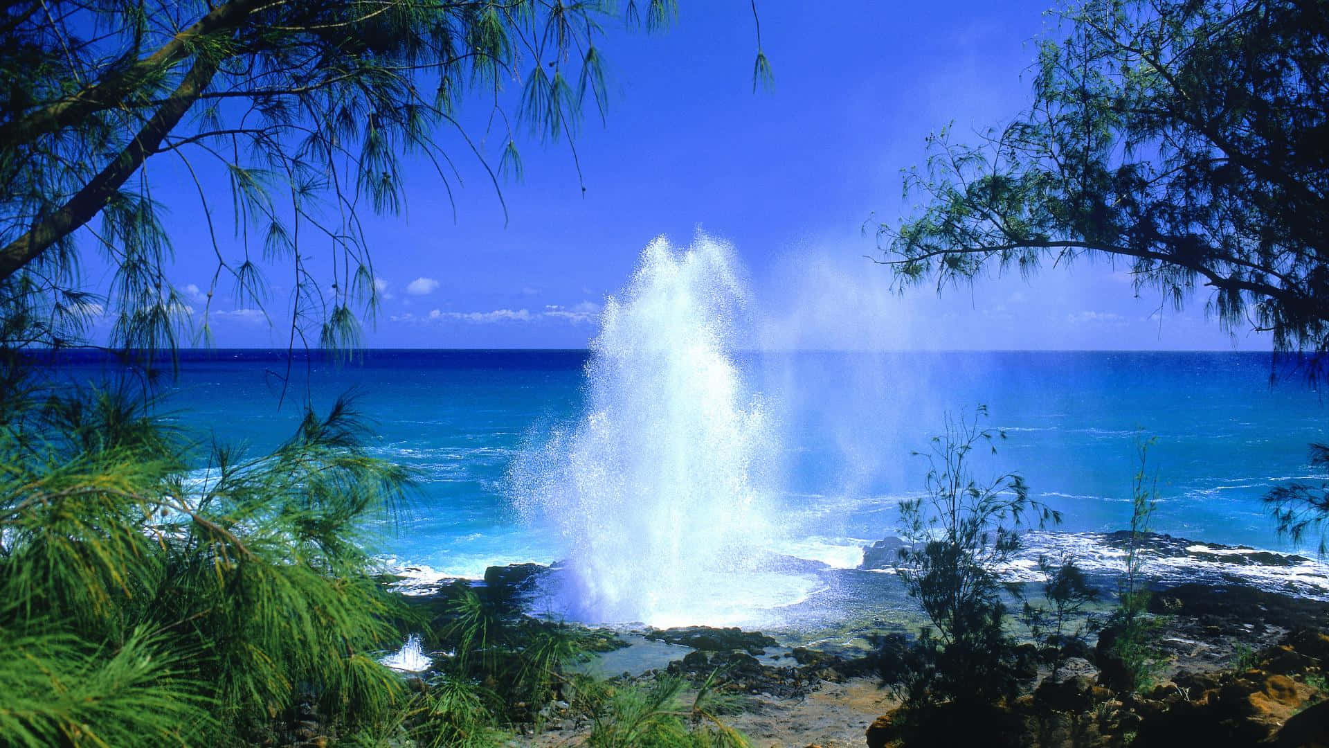 Hawaiian Beach 桌布 壁紙 — 在晴朗藍天下，茂密綠樹環繞的岩石海岸噴射出強勁的海浪水花。