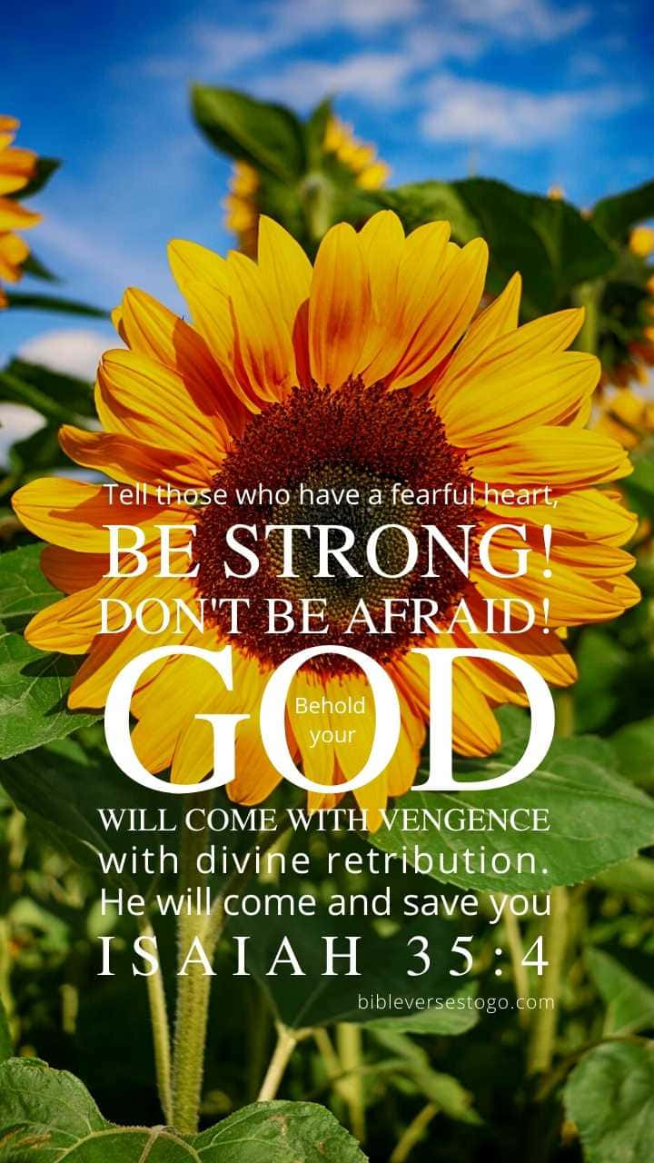 Girly Bible Verse 桌布 壁紙 — 在晴朗藍天下的一片充滿活力的向日葵田，花朵上覆蓋著粗體白色文字。