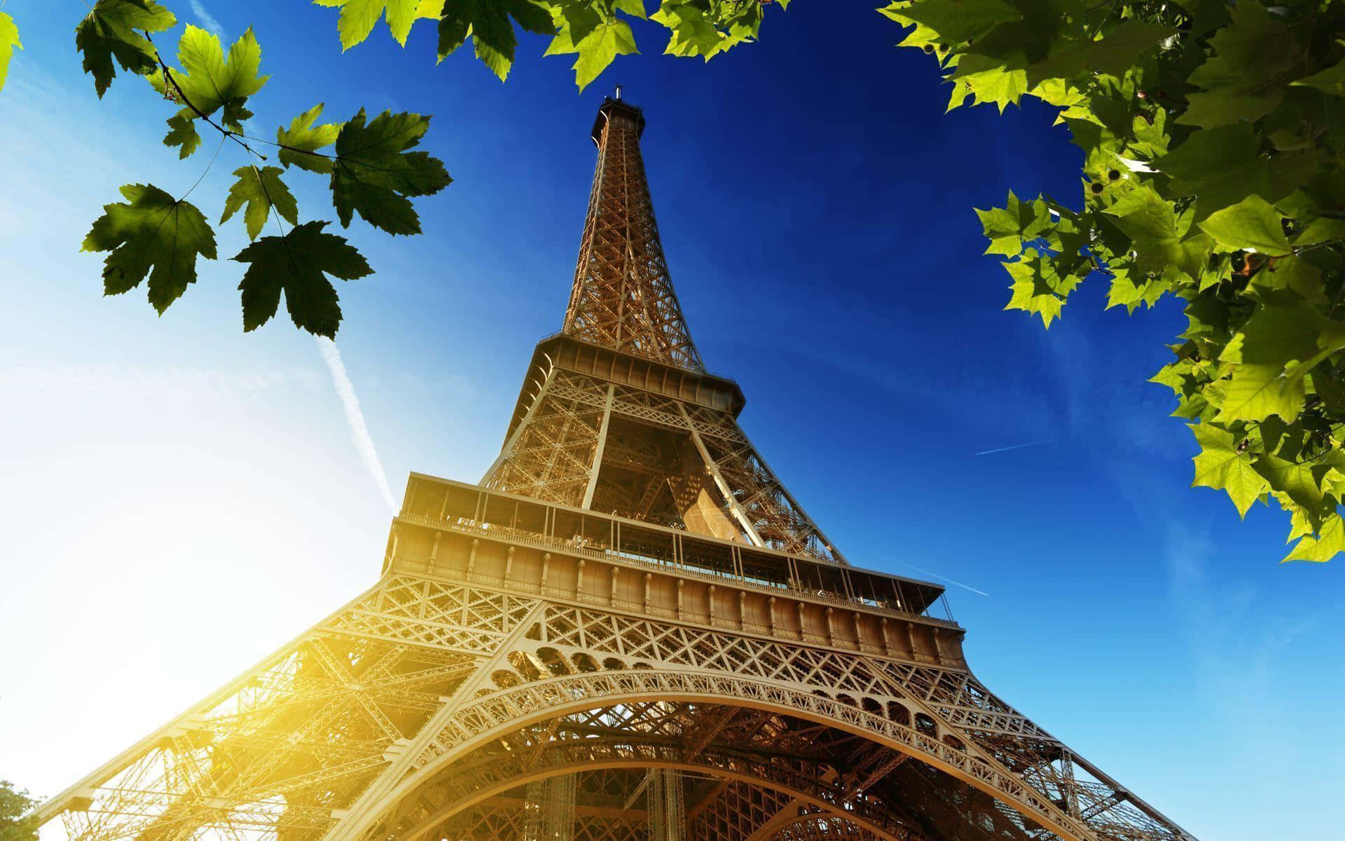 Eiffel Tower 桌布 壁紙 — 在晴朗藍天和金色陽光的襯托下，被鮮綠色樹葉框住的艾菲爾鐵塔。