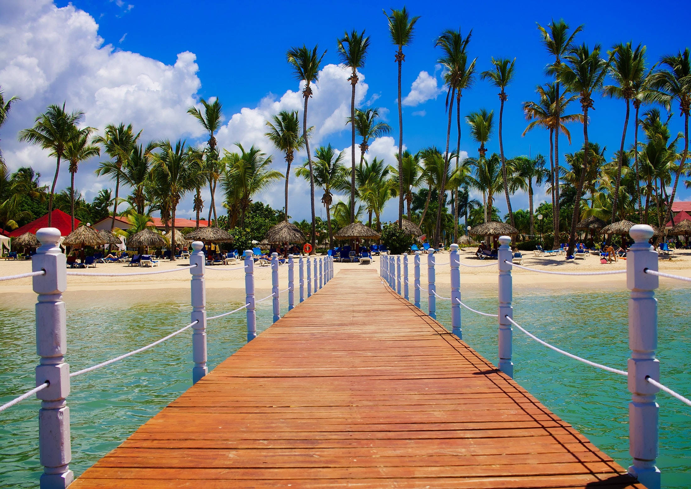 桌布 壁紙 — 在晴朗藍天白雲下，一條木製碼頭延伸至棕櫚樹成蔭的熱帶海灘。