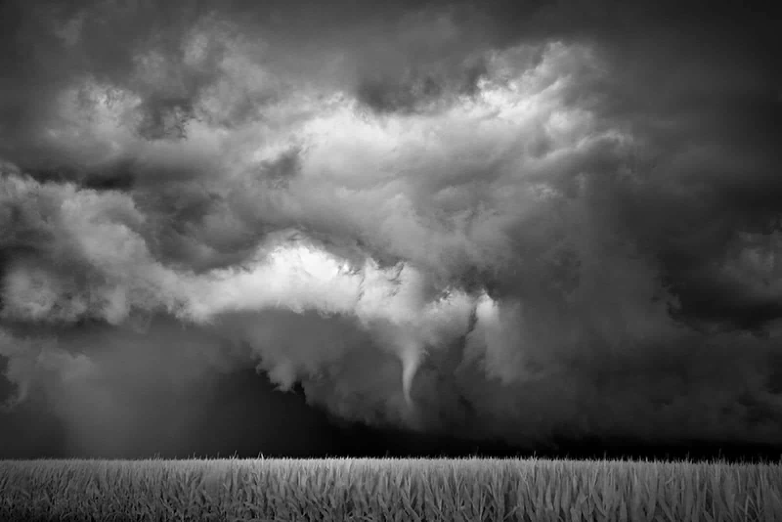 Black And White Storm 桌布 壁紙 — 在暴風雨的天空中，一個戲劇性的黑白龍捲風在高高的草地上方形成。