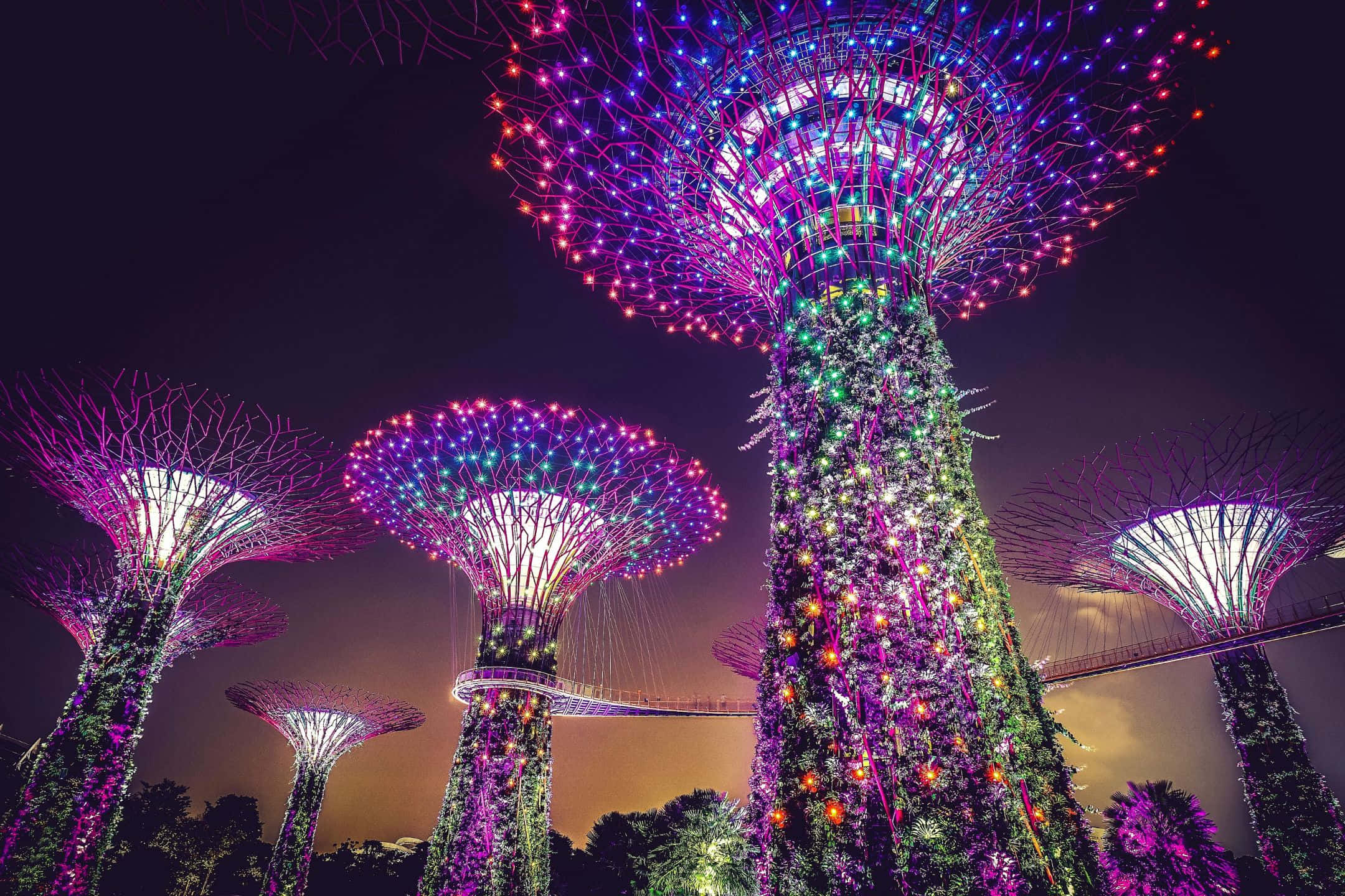 2160x1440 桌布 壁紙 — 在未來主義的城市公園中，巨大的發光樹狀結構在黑暗的夜空下閃爍著鮮豔的霓虹燈光。