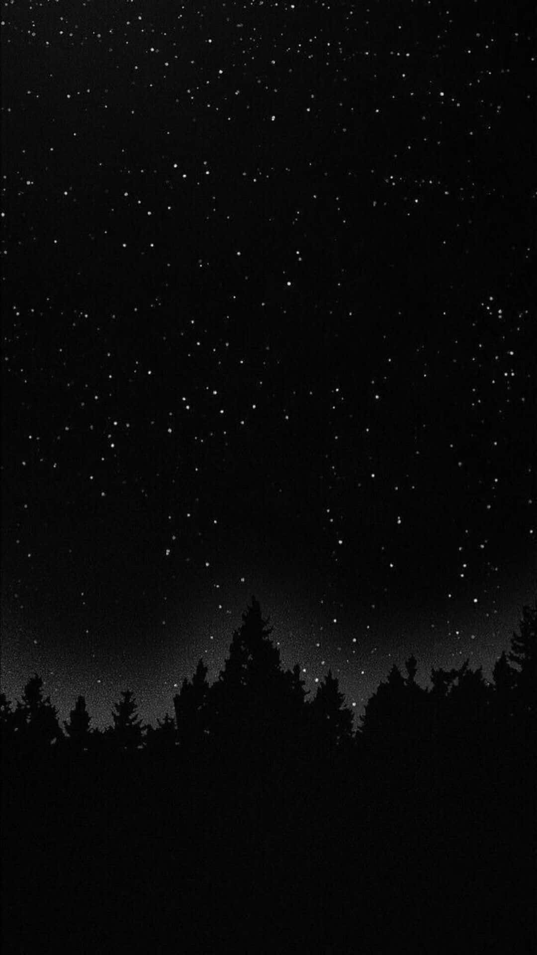 桌布 壁紙 — 在松樹的黑暗剪影之上，有無數閃爍星星的星空夜空。