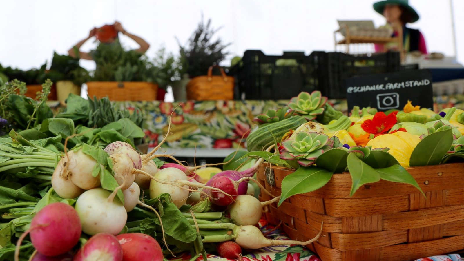 Farmers Market 桌布 壁紙 — 在柔和日光下，繁忙的農場攤位上，新鮮的蘿蔔和多肉植物從編織籃子中溢出。