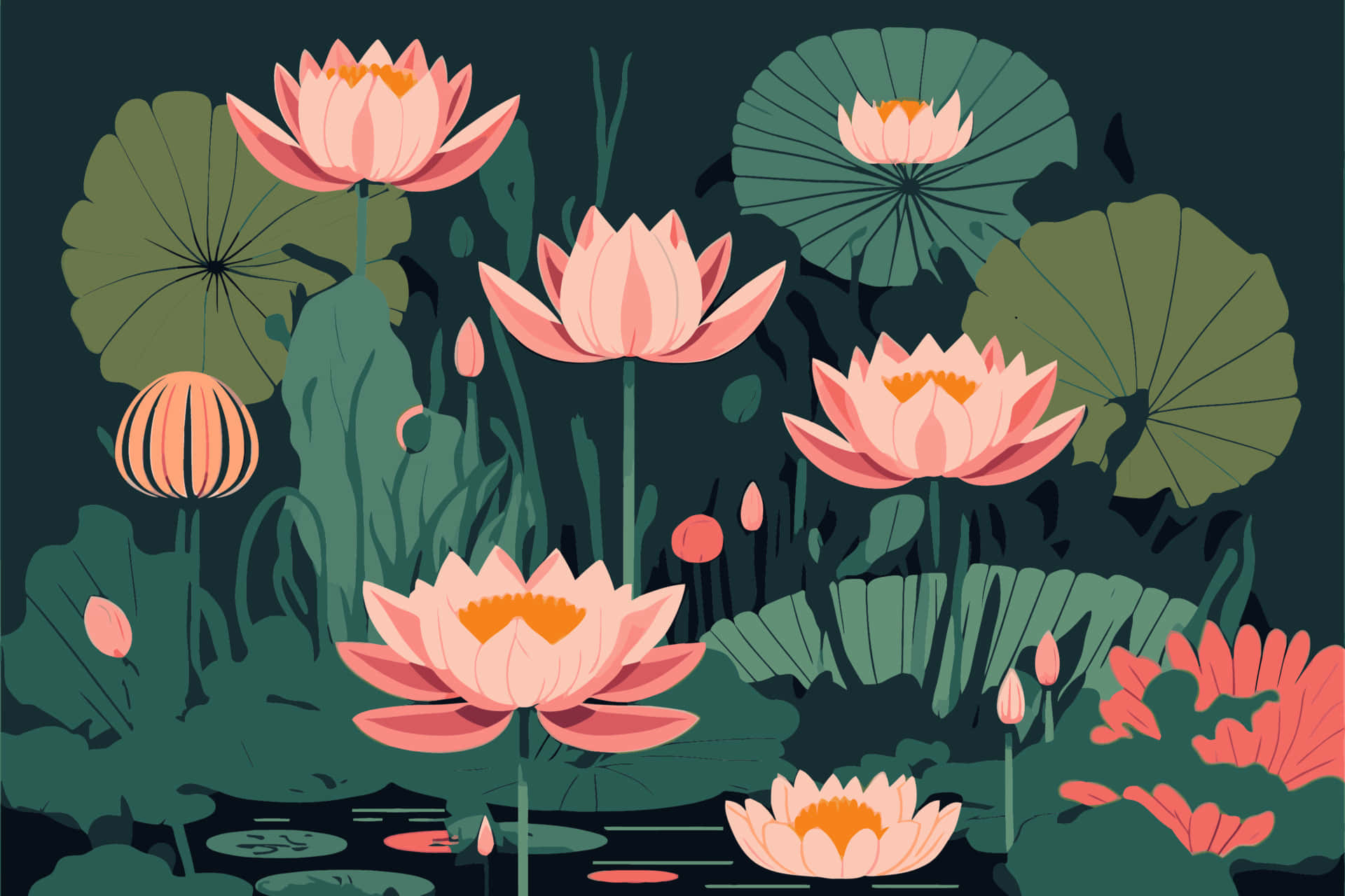 lotus 桌布 壁紙 — 在柔和暮色下，寧靜的黑暗池塘中，鮮豔的粉紅色蓮花在大型綠色睡蓮葉間盛開。