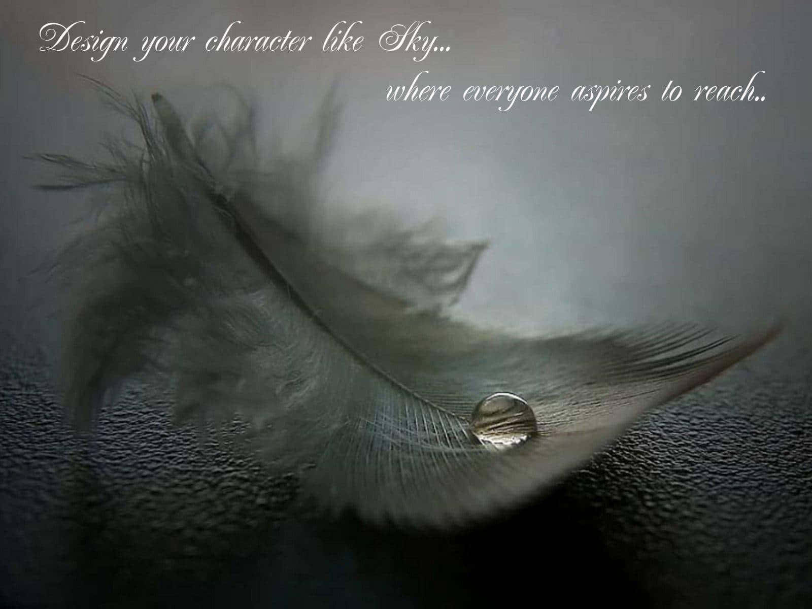 Positive Quotes 桌布 壁紙 — 在柔和漫射光線下，一根帶有閃亮水滴的灰色羽毛停留在有紋理的深色表面上。