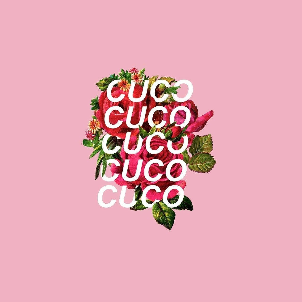 名稱 桌布 壁紙 — 在柔和的粉紅色背景上，將大膽的白色「CUCO」文字疊加在由紅玫瑰和綠葉組成的鮮豔花卉佈置上。