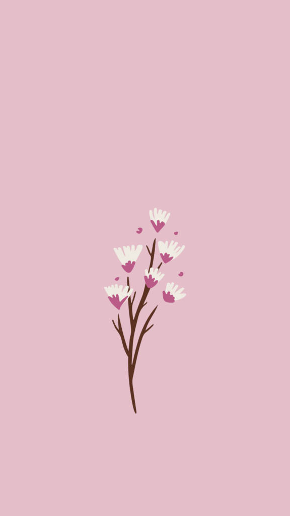 cute and pink 桌布 壁紙 — 在柔和的粉紅色背景上，帶有白色和粉紅色花朵的精緻樹枝的極簡插圖。