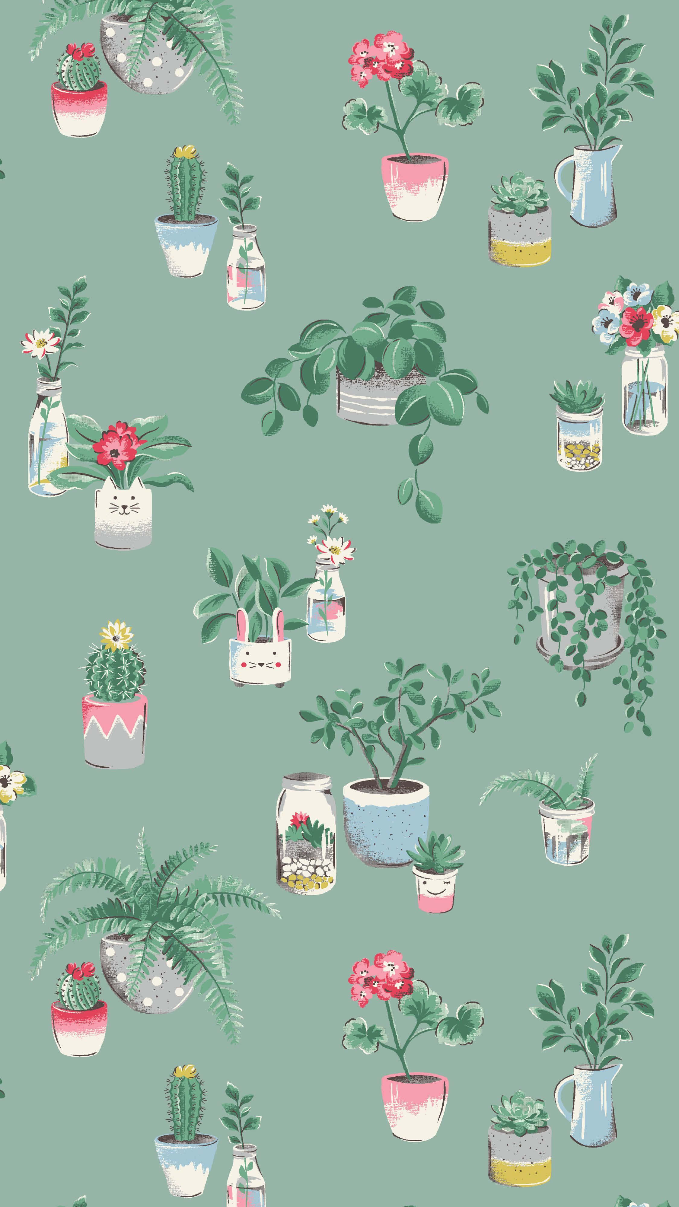 Plant Aesthetic 桌布 壁紙 — 在柔和的薄荷綠色背景上，各種盆栽植物和花朵放在可愛的陶瓷和玻璃容器中的迷人圖案。