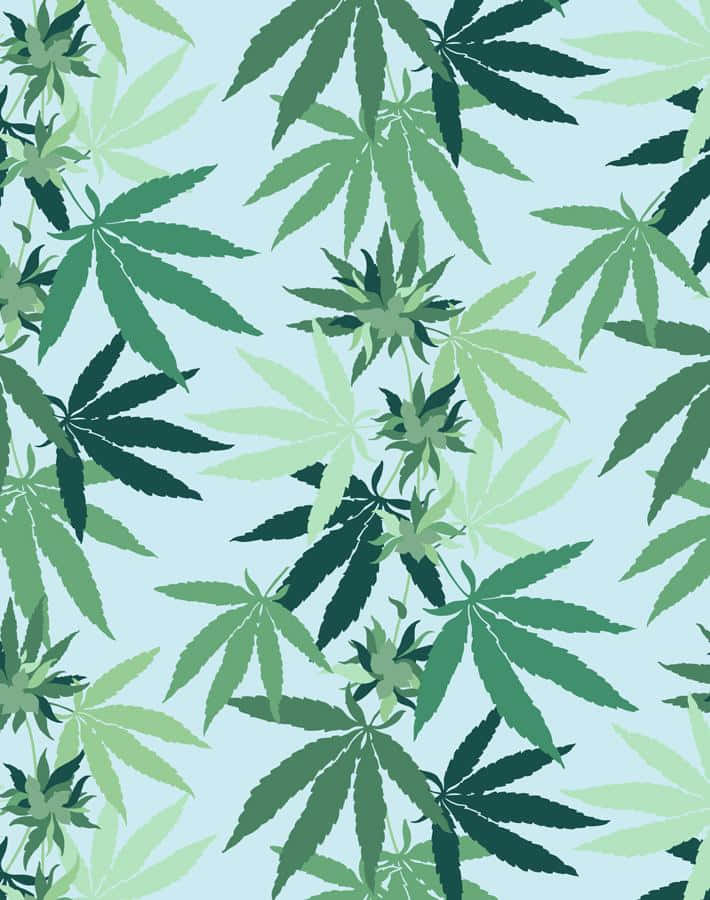 葉子 桌布 壁紙 — 在柔和的藍色背景上，重複圖案的大麻葉，呈現不同深淺的綠色。