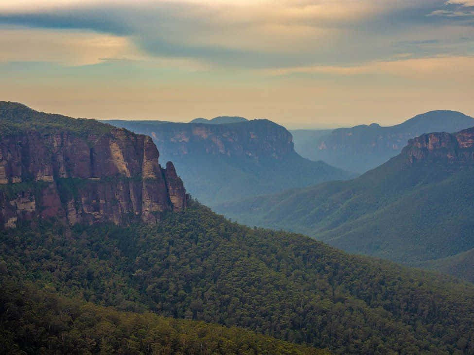 Blue Mountains National Park 桌布 壁紙 — 在柔和的金色天空下，高聳的紅色砂岩懸崖被茂密的綠色森林覆蓋，景色令人嘆為觀止。