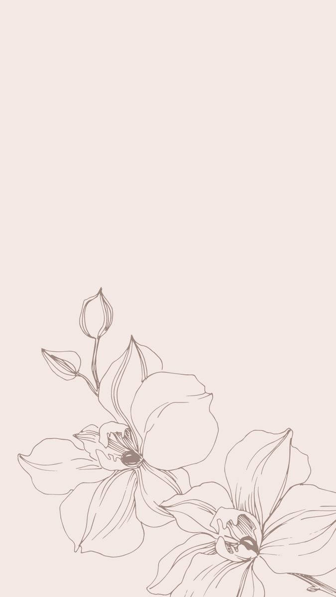 花朵美學動態圖 桌布 壁紙 — 在柔和米色背景上，兩朵盛開蘭花與花蕾的優雅極簡線條畫。