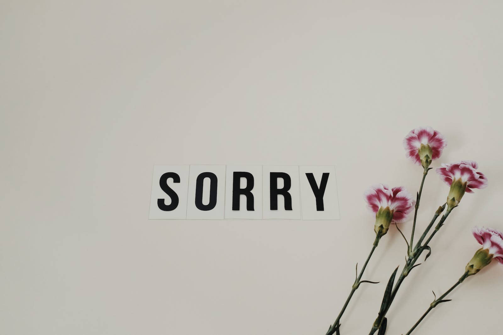 Sorry 桌布 壁紙 — 在柔和米色背景上，粗體黑色字母拼出的「對不起」一詞，旁邊是精緻的粉紅色和白色康乃馨。