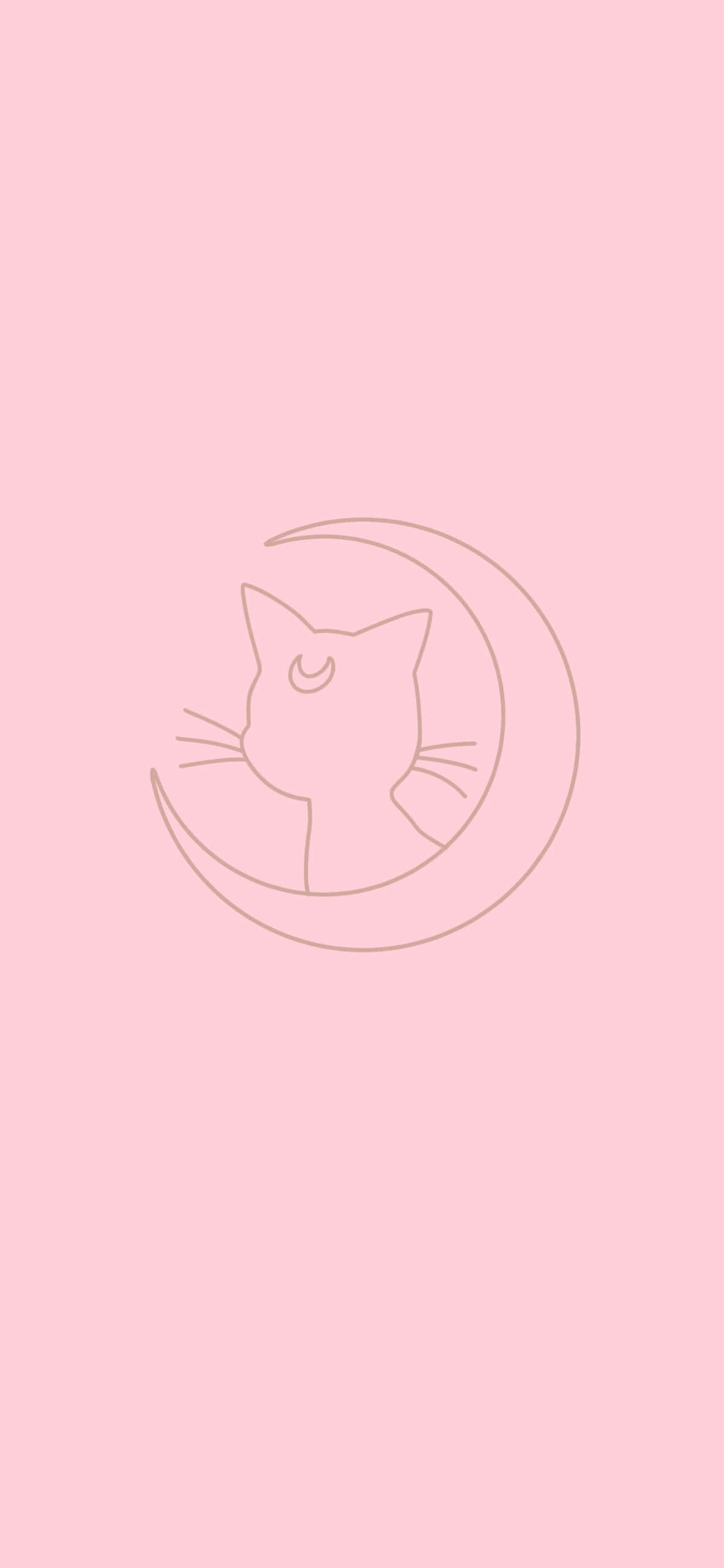 Minimalist Pink 桌布 壁紙 — 在柔和粉紅色背景上，新月內貓頭的極簡線條畫。