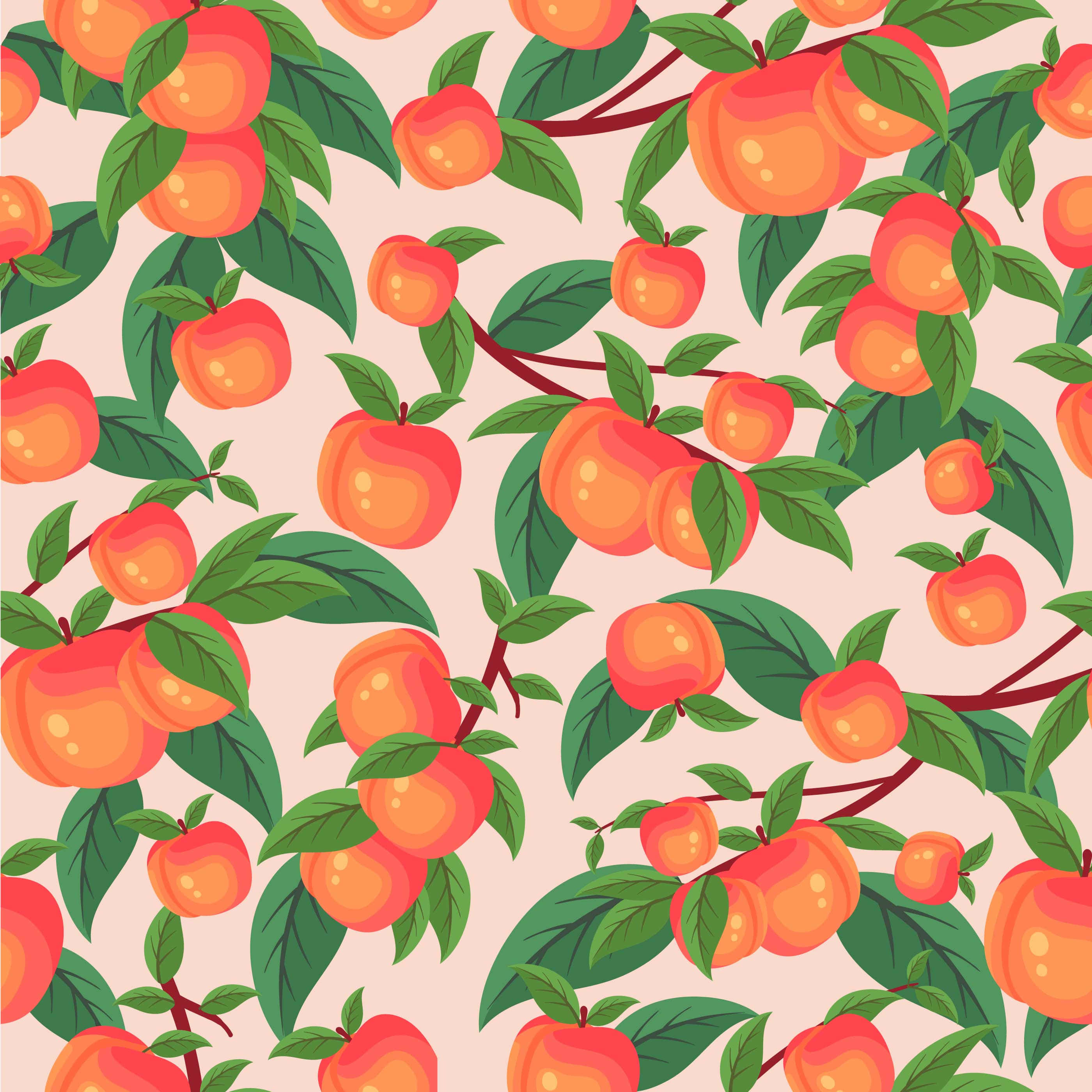 Vintage Peach 桌布 壁紙 — 在柔和粉紅色背景上，樹枝上成熟杏子和綠葉的鮮豔插圖。